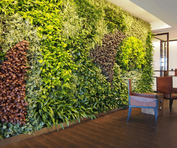 top vertical Green wall installation services