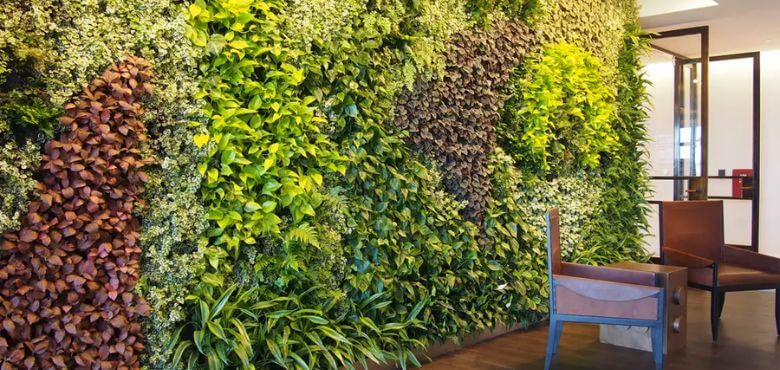 natural green wall installation services in mumbai